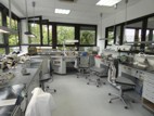 Verkehrswertermittlung B&uuml;ro-Laborfl&auml;chen in Rheinhessen f&uuml;r Betriebliche Zwecke